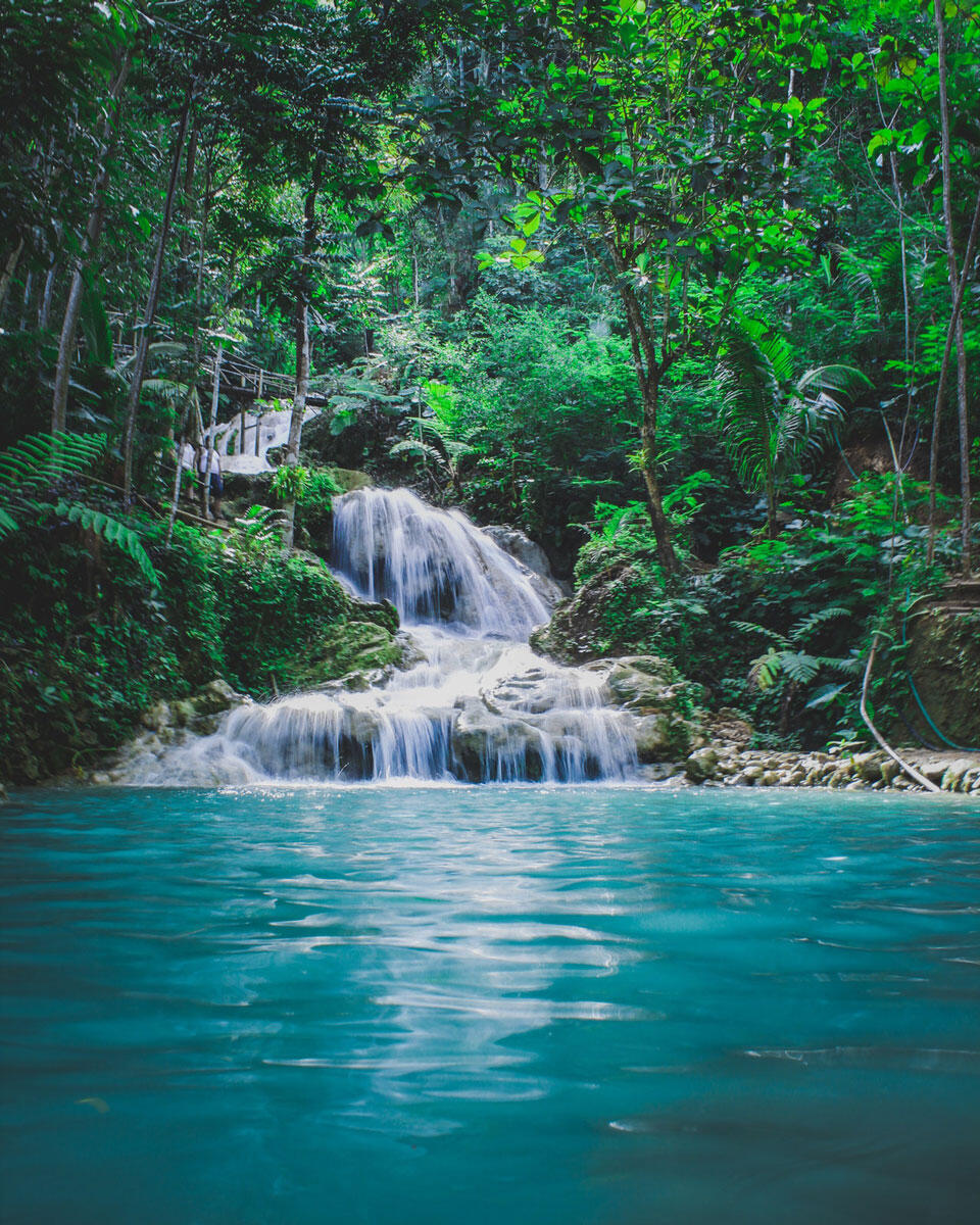 Photo Limited for sale (Photo by Rifqi Ramadhan from Pexels) Photo Limited for sale (Photo by Rifqi Ramadhan from Pexels)